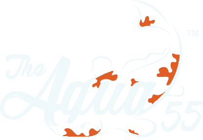 The Aqua55